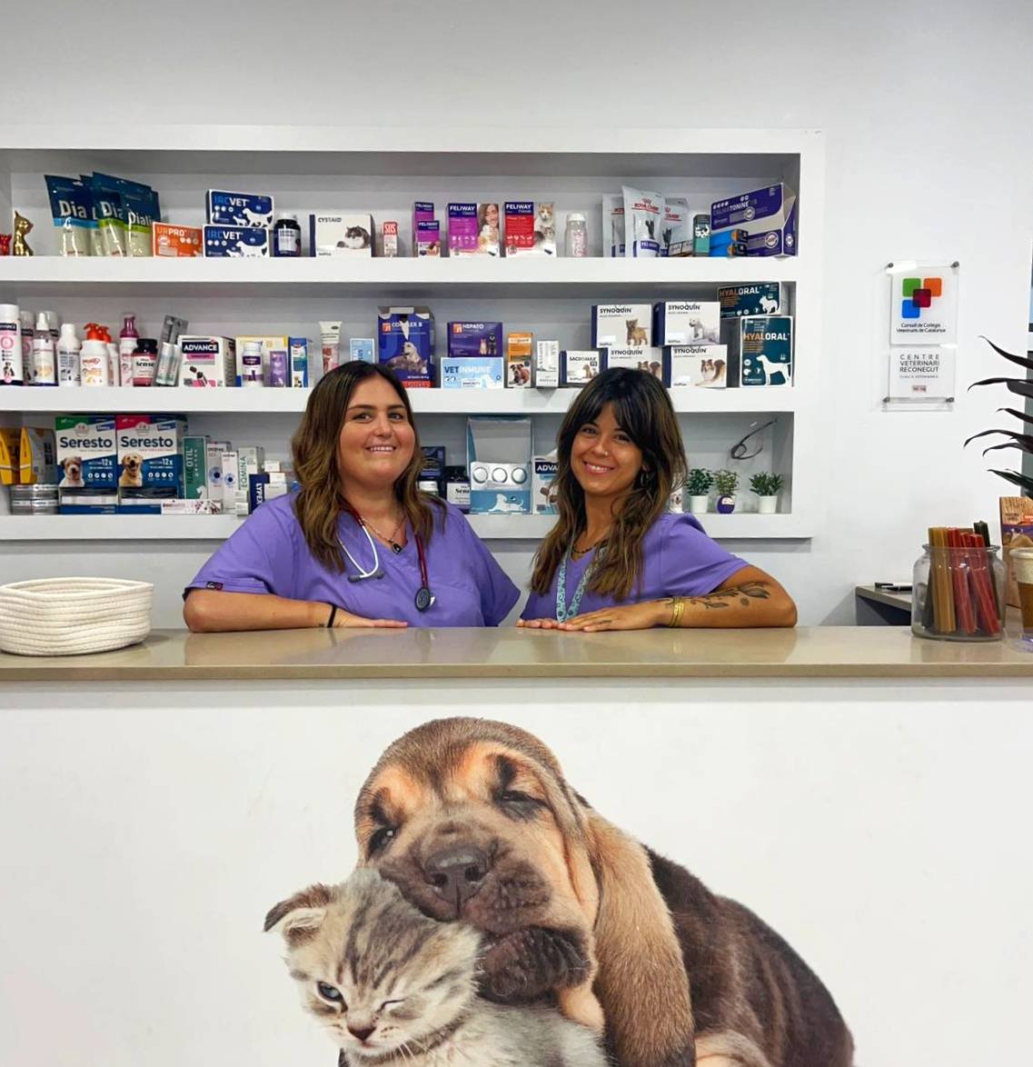 Rovira Veterinary Clinic professional team