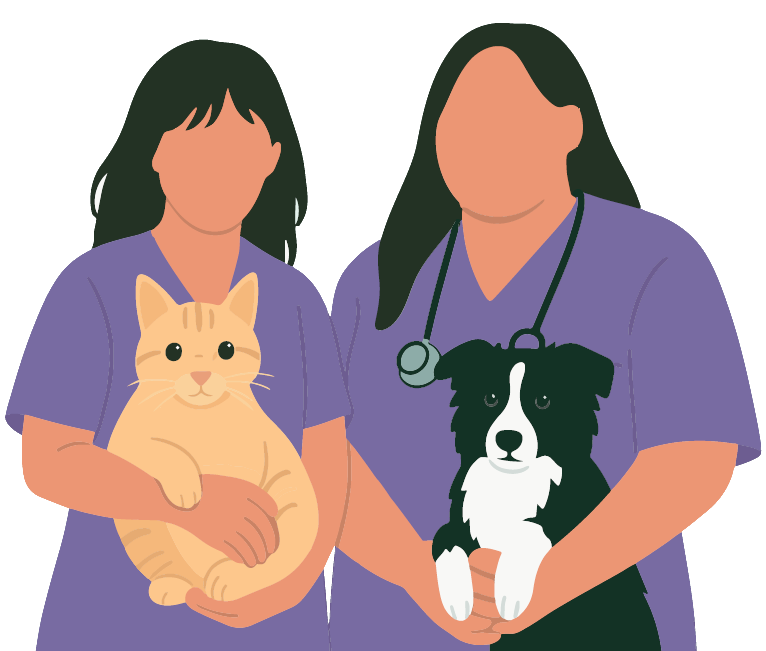 Equipo veterinario Clínica Rovira